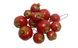 4260mm Pomegranates on Wire (12pk)