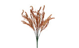 Foxtail Bush x12  Cinnamon