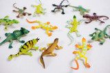 2.5in Lizard - Assorted (96pk)