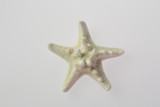 3-4in Knobby Starfish - White (Bag of 6)