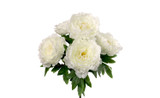 20in Peony Bush x5 - White