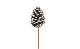 23in Long Pine Cone Pick - White Tip