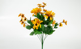 Mixed Sunflower Bush x12 - Gold