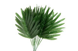 Palm Leaf Bundle x12