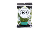 8oz Preserved Sheet Moss - Garden Green