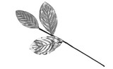18.5in Magnolia Leaf Pick - Silver