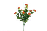 Hypericum Bush - Red