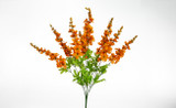 Garden Delphinium Bush x7 - Orange