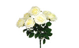 16in Rose Bush x7 - White