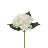 21in Hydrangea Spray - Cream - NATURAL