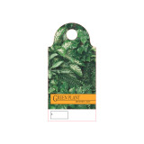 Floral Care Cards (Pack of 100) - Green Plant