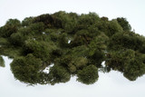 4oz Reindeer Moss - Light Green