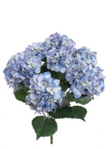 20in Hydrangea Bush x7 - Blue