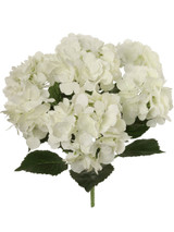 20in Hydrangea Bush x7 - Cream