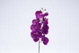 29in Phalaenopsis Orchid Stem - Purple
