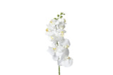 29in Phalaenopsis Orchid Stem - White