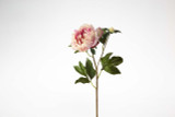 19.5in Open Peony Stem - Orchid