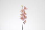 33.5in Phalaenopsis Orchid x7 - Hot Pink Fuschia
