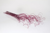 4oz Sparkle Curly Ting Ting - Fuchsia