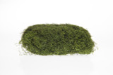 #1 Spanish Moss - Moss Green