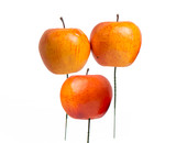 80mm Apple on 5in Pick (Bag of 6) - Red Yellow