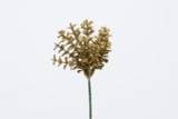 8in Glitter Boxwood Pick (Bag of 12) - Gold