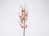 30in Peach Blossom Stem - Orange