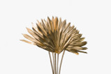 18in Long Dried Palm Sun Spear with Stem (Pack of 4) - Gold