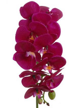 31in Phalaenopsis Orchid Stem - Purple