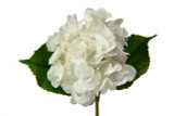22in Fresh Touch Hydrangea Stem - White