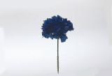 Carnation on 5in Pick (Box of 100) - Royal