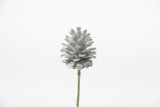 Glitter Pine Cone Pick (72pk) - Silver