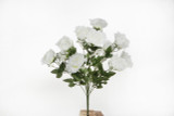Open Rose Bush with Gypsophila x12 - White