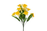 Spring Bush Assortment x12 - Yellow Daffodil