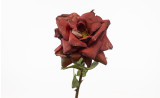 22in Dried Open Rose Stem - Burgundy