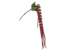 48in Flocked Hanging Amaranthus Spray X6 - Red