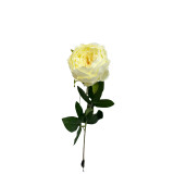 26in Rose Spray - Cream