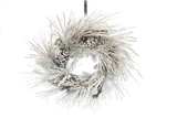 24in Snowy Aspen Wreath with Pine Cones - White Green