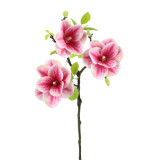 21in Magnolia Spray - Cream Pink