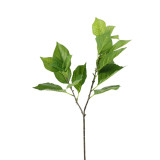 26in Hydrangea Leaf Spray - Green