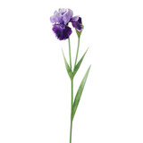 35in Iris Spray - Purple