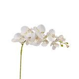 39in Moth Orchid x9 Silk Flower - White