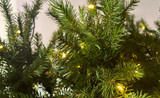 9ft Tall Slim Lit Marsh Pine Christmas Tree