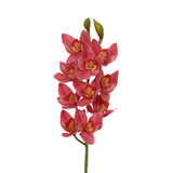 29in Cymbidium x10 - Hot Pink