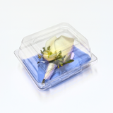 Plastic Boutonniere Box #261 (50 pk)