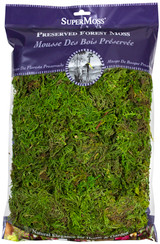 8oz Preserved Sheet Moss - Forest Green