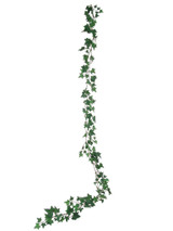 6ft English Ivy Garland x185