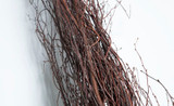6-7ft Dried Natural Birch Branch
