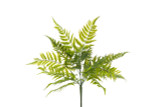 28in Boston Fern Bush x7
