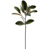 11.5in Mini Magnolia Leaf Pick